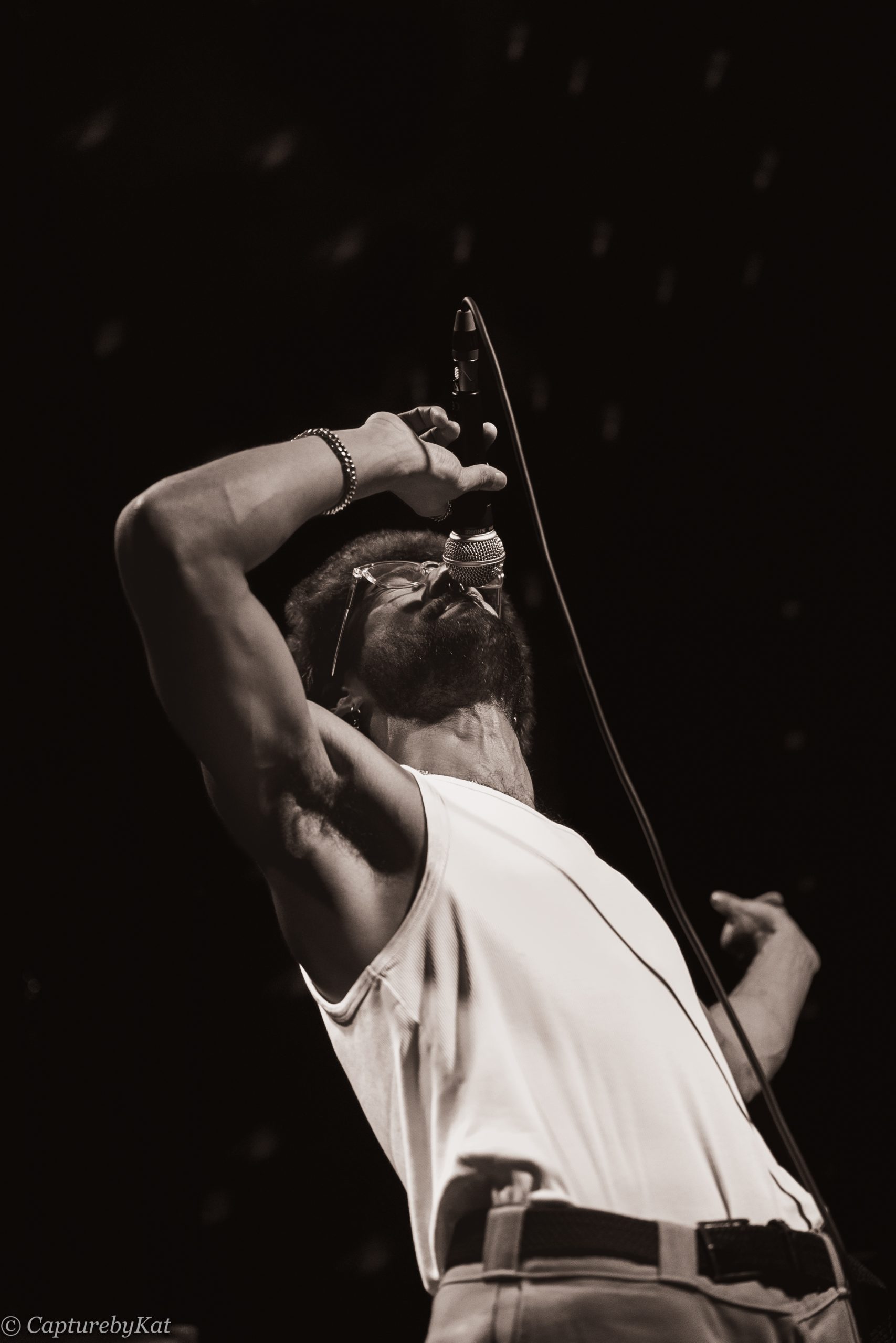 chanteur-scene-proces-verbal-bordeaux