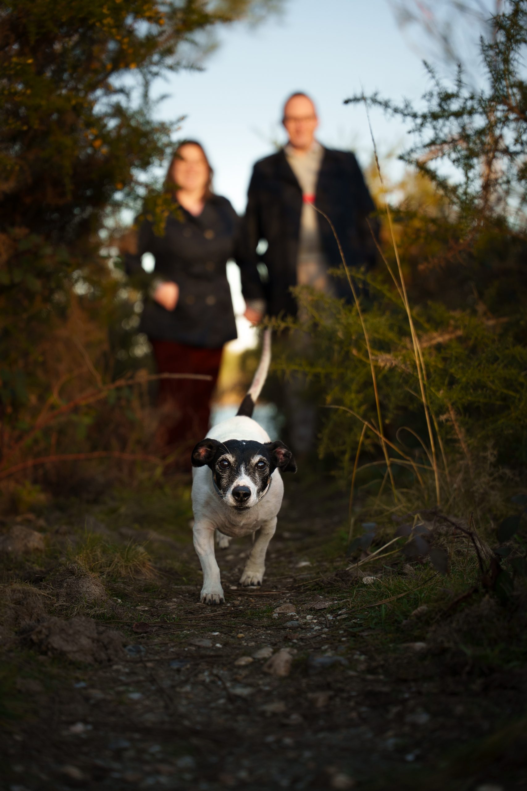 complicite-chien-maitres-shooting-photo