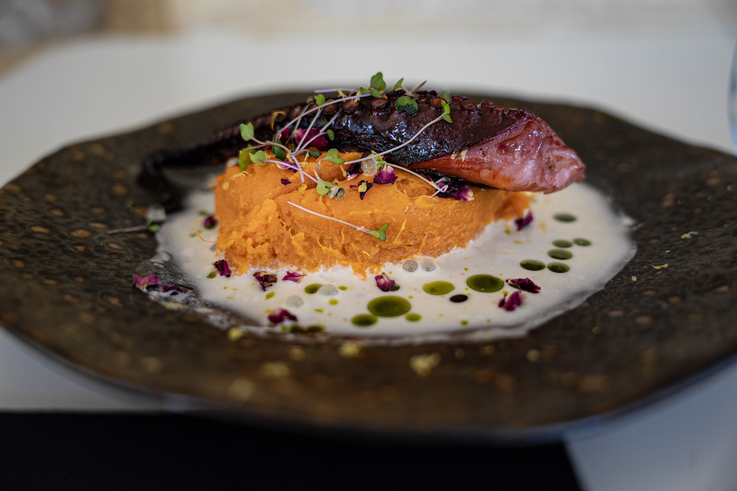 photographe-culinaire-saint-loubes-ferset