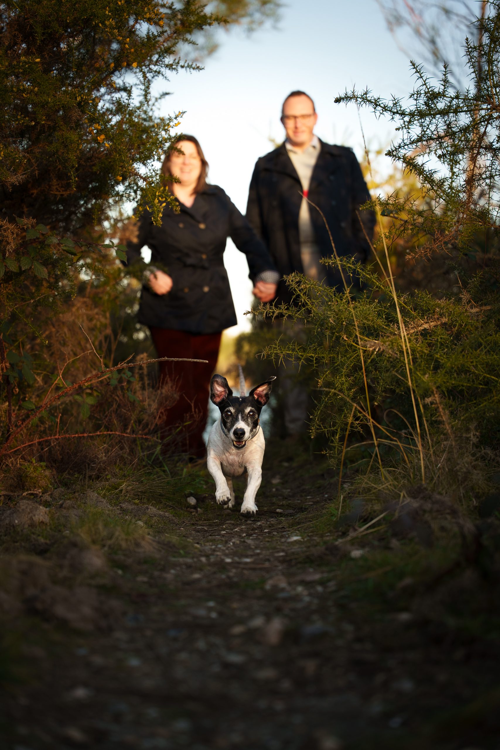 portrait-canin-lifestyle-nature