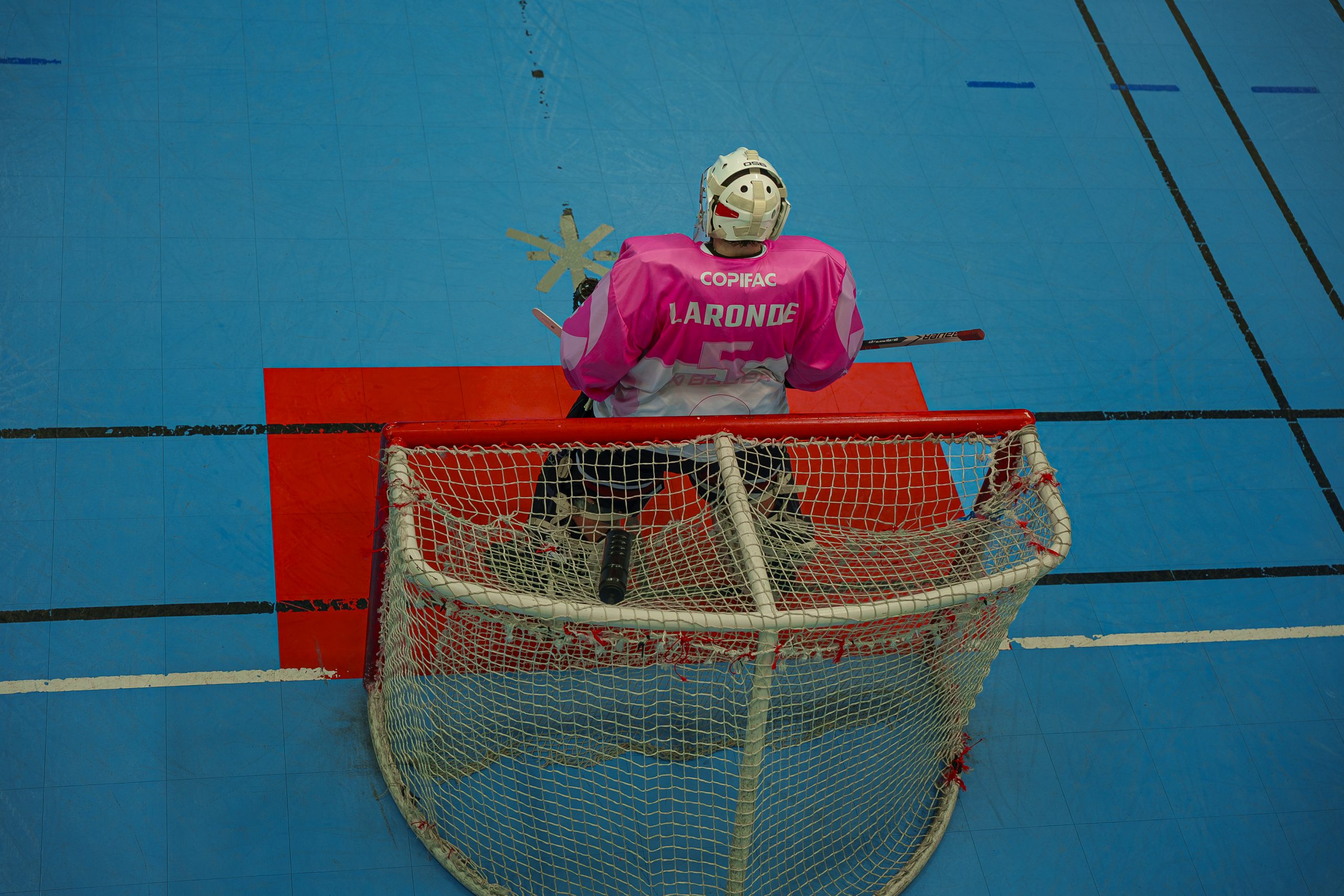 gardien-lions-bordeaux-maillot-rose